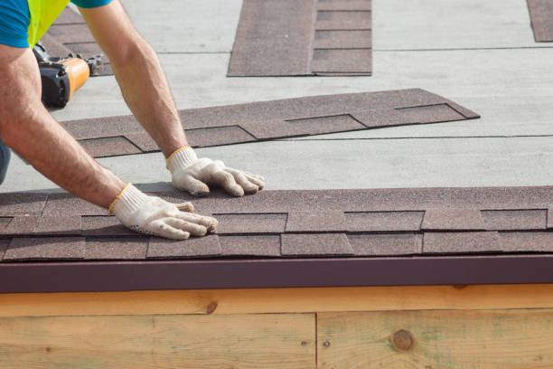 Best Roof Maintenance and Cleaning  in Ome, GA